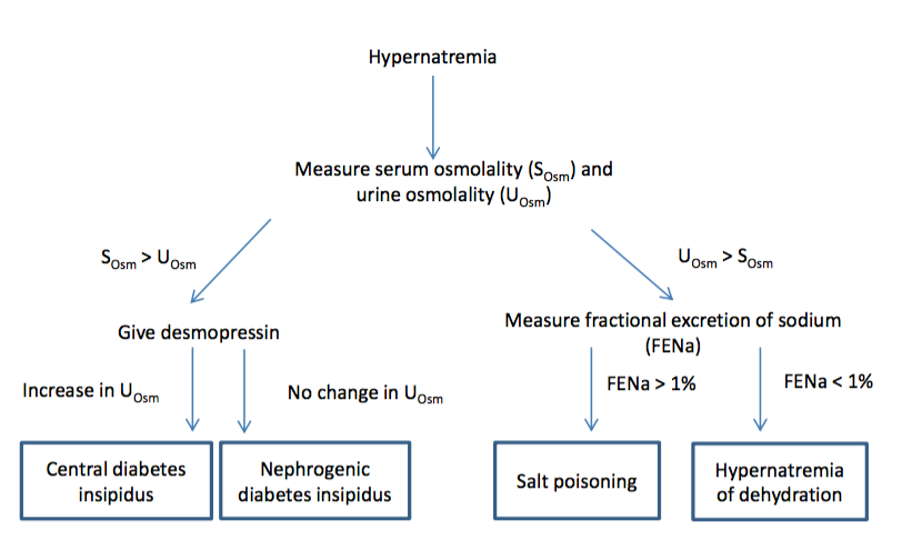 An Infant Girl With Persistent Hypernatremia What’s the Cause